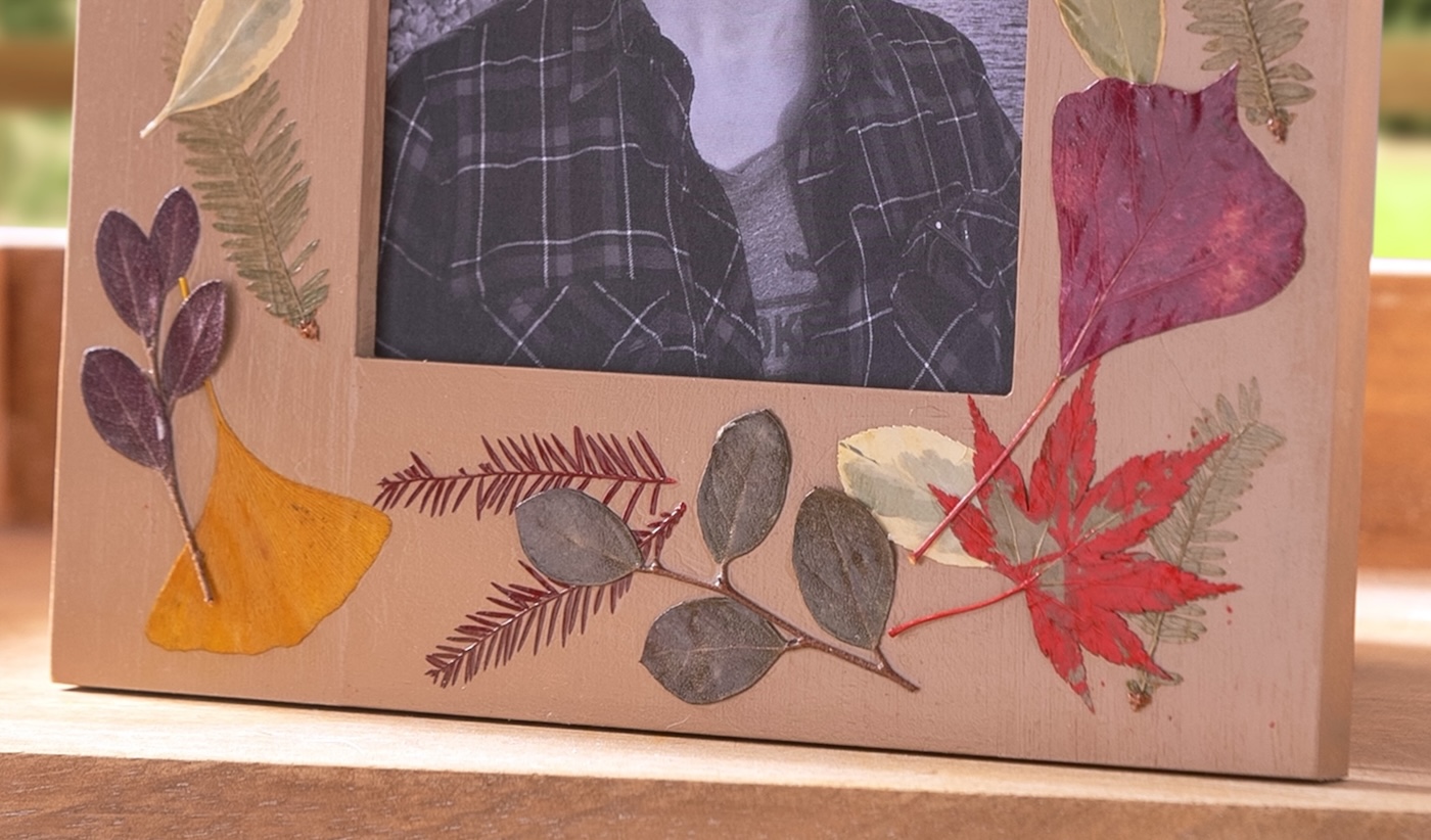 closeup of autumn leaves on a frame