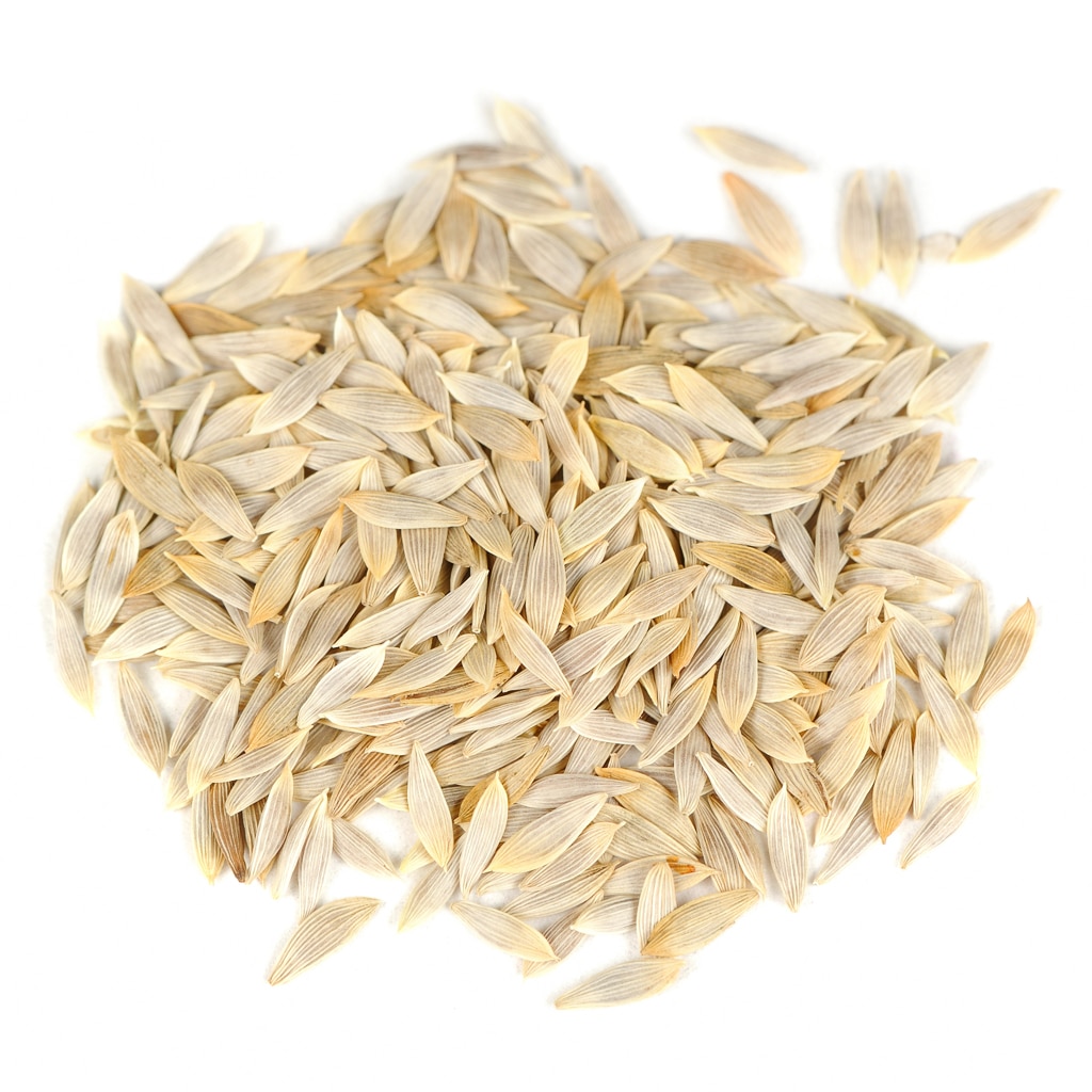 Lettuce seeds on a white background – A pile of lettuce seeds, illustrating the first step in starting leafy greens from seed.