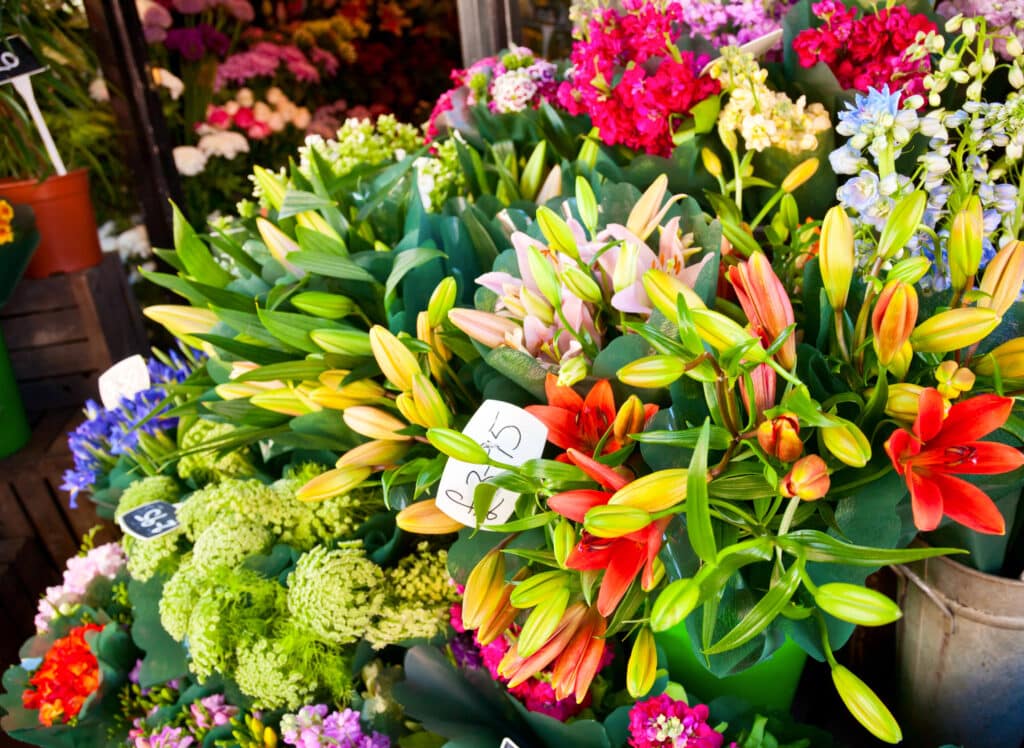Profitable Crops for Farmers' Markets include cut flowers like in this image.  Small easy to grow flower bundles. 