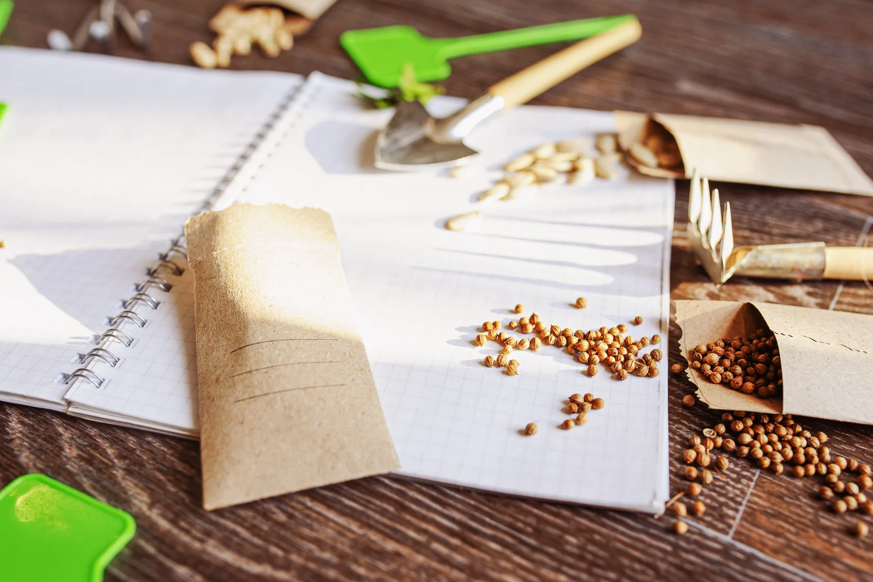 A garden journal open with seed envelopes and assorted gardening tools spread over a table. 