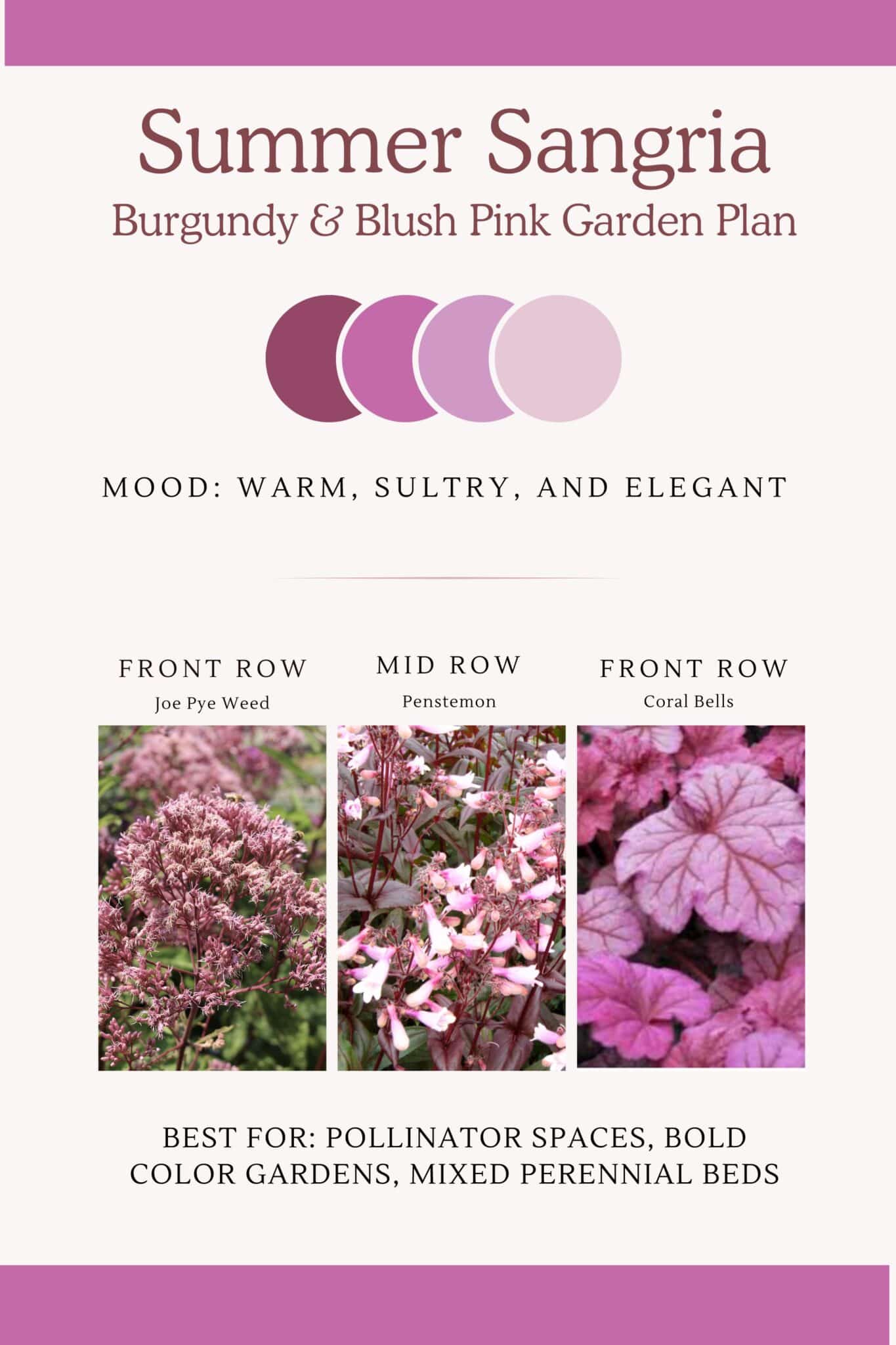 Infographic that shows deep reds and pink perennial flower bed design  with a warm, sultry and elegant look. 