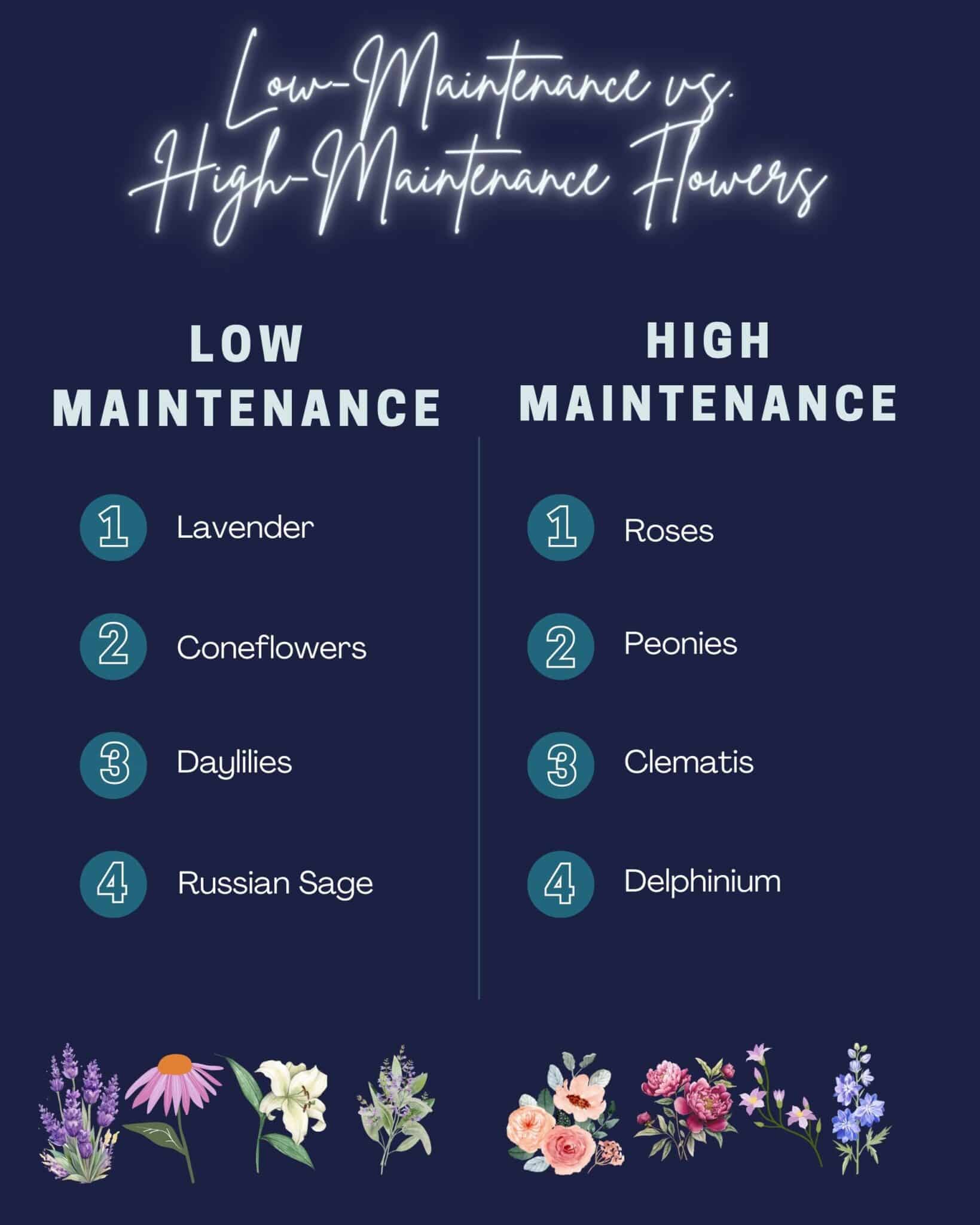 An infographic show the best low maintenance vs high maintenance flower choices for navy blue homes. 