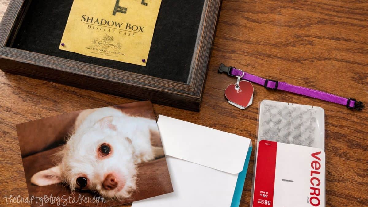 Pet memorial shadow box supplies laid out on a table, including a shadow box frame, printed dog photo, pet collar with tag, envelope, and Velcro strips.