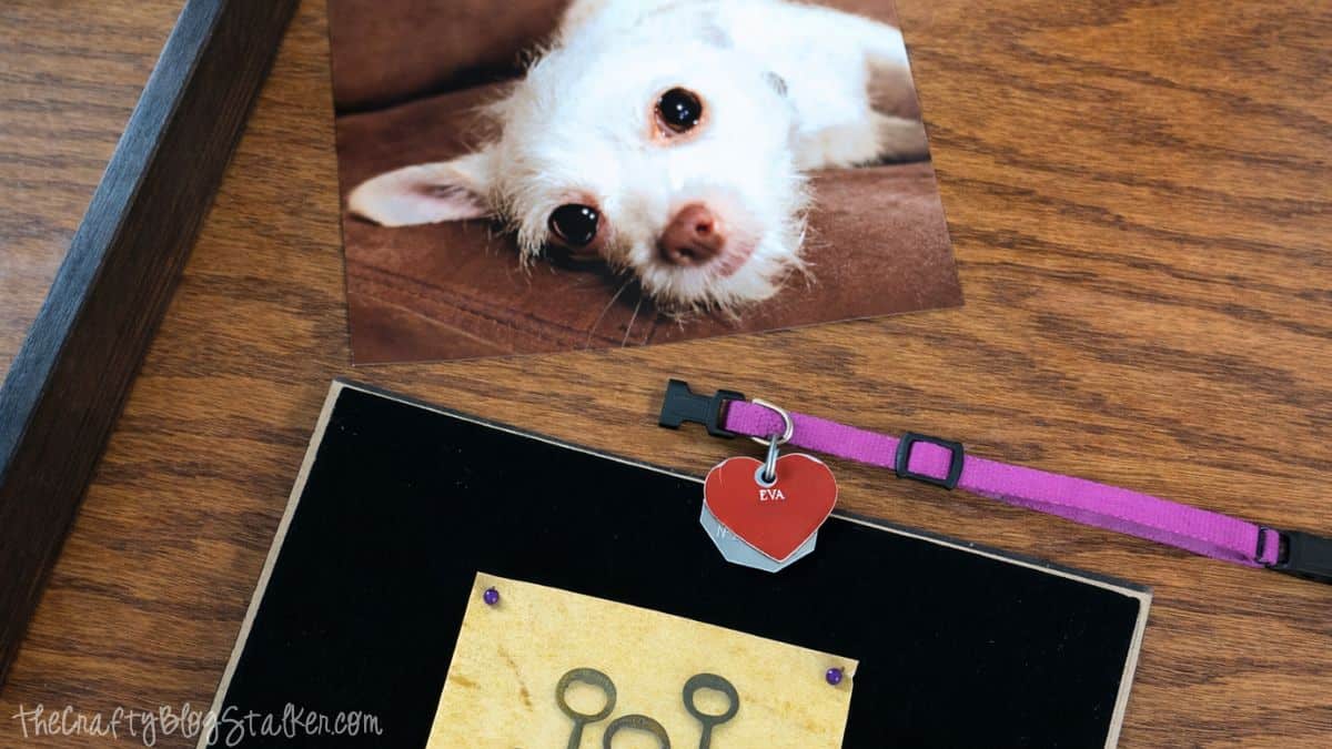 Close-up of a pet memorial shadow box in progress with a printed dog photo, heart-shaped pet tag on a collar, and frame backing arranged on a wooden surface.