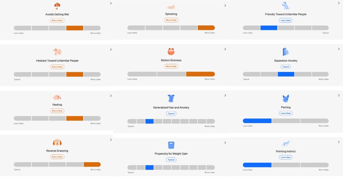 Dashboard showing Ollie’s predicted behavior traits with multiple sliders indicating likelihood for habits like separation anxiety, motion sickness, nesting, weight gain, and friendliness.