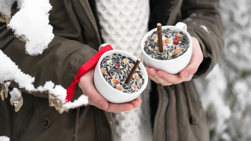 Bird feeder made from old cups