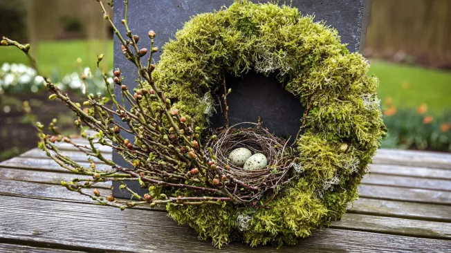 Moss wreath with bird's nest made of twigs and quail eggs
