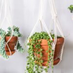 Balcony: Simply make your own macrame plant hanger
